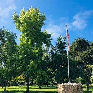 Meet your Posher, Yuridia